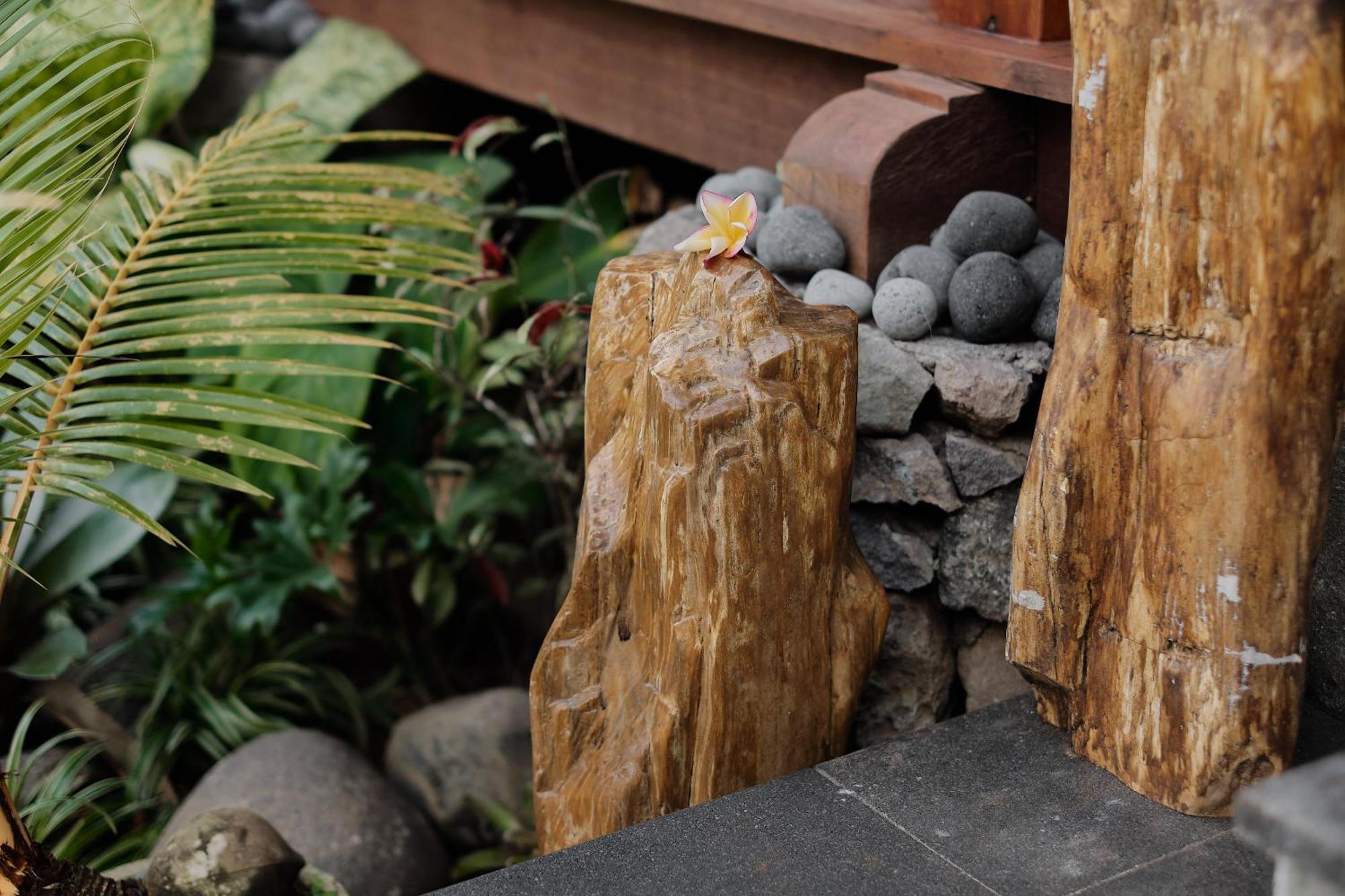 Ithaca Ubud Villa 外观 照片